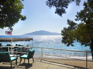 Yaliciflik Turkiye Promo Code Agoda.com
