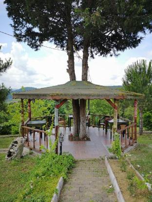 Agva Turkiye Promo Code Agoda.com