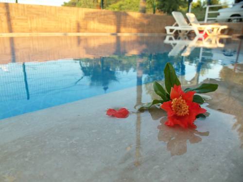 Side Turkiye Promo Code Booking.com